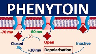 Phenytoin  Mechanism side effects precautions amp uses [upl. by Latif90]