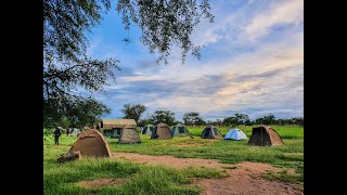 Camping in Serengeti National Park [upl. by Girardi]