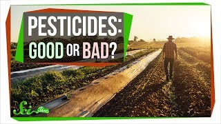 How Safe Are Pesticides Really [upl. by Lavona]