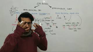 Trick to Learn all 206 Bones of Human Body Locomotion amp Movement Trick by Vipin Sharma [upl. by Roe]