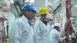 Washington Grown Inside a Beef Slaughter Facility [upl. by Nibla]