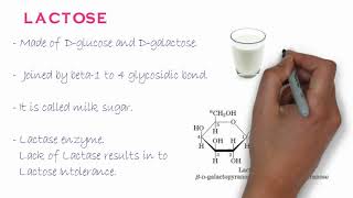 Biochemistry of Oligosaccharides [upl. by Ilrebmik424]