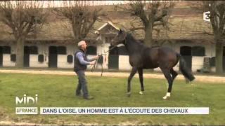 ANIMAUX  Dans lOise un homme est à lécoute des chevaux [upl. by Putscher]