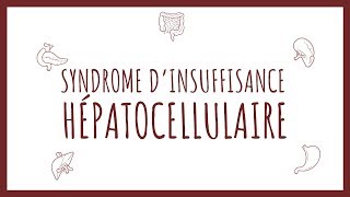 Sémiologie Hépatique  Insuffisance Hépatocellulaire [upl. by Elonore187]