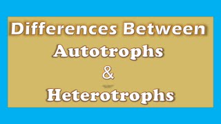 Unlocking the Differences Autotrophs vs Heterotrophs  A Clear Explanation [upl. by Eustache]