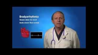 Bradycardia Informational Video  30mov [upl. by Yevoc556]