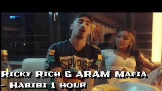 Ricky Rich amp ARAM Mafia  Habibi 1 hour [upl. by Toile582]