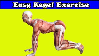 Kegel exercises for men amp Easy Exercises [upl. by Leiva]