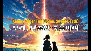 오라 달콤한 죽음이여  Komm Susser Tod [upl. by Kizzie]