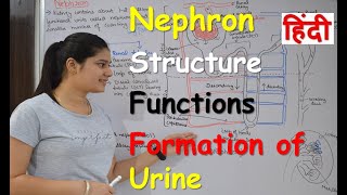 Nephron in Hindi  Structure  Functions  Urine formation  RajNEET Medical Education [upl. by Tenenbaum]