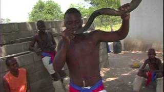 Vuvuzela African Horn  Fantastic Sound [upl. by Eisteb]