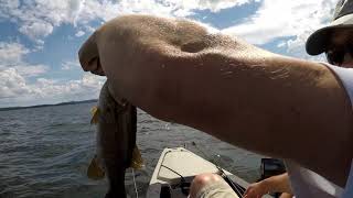 Lake Memphremagog late June 2020 [upl. by Billie406]