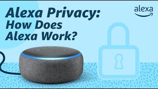 Alexa Privacy How Does Alexa Work [upl. by Dorina318]