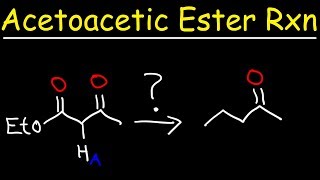 Acetoacetic Ester Synthesis Reaction Mechanism [upl. by Bunder]