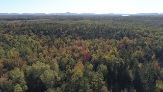 Forestry for the Future Lessons in Sustainable Management from Maine [upl. by Bonucci]