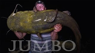 JUMBO Flathead Catfish Mississippi River Minnesota  Northwoods Angling [upl. by Oetsira758]