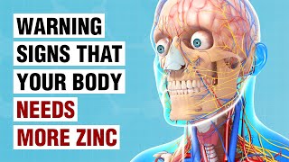 10 Warning Signs Your Body Needs More Zinc [upl. by Blount]