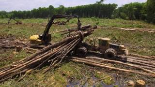 Tigercat clambunk skidder and logger  swamp logging [upl. by Gottlieb]