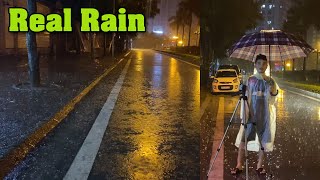 Torrential Rain on Canada Street with Heavy Thunder  Real Rain and Thunderstorm Sounds for Sleeping [upl. by Nahshun980]