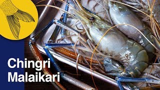 Chingri Malaikari Recipe—Bengali Prawn Malai Curry—Bengali Prawn Curry—Noboborsho Special [upl. by Alroi]