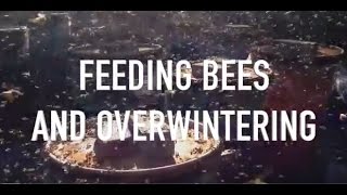 Feeding Bees and Overwintering [upl. by Adyl59]