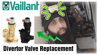 Vaillant EcoTec Diverter Valve Replacement  FULL [upl. by Patrizius18]