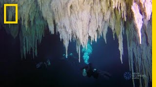 Explore the Worlds Largest Underwater Cave  National Geographic [upl. by Ecylla]