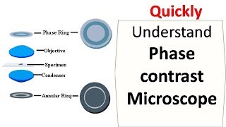 Phase contrast microscope [upl. by Fitzhugh906]