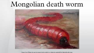 Mongolian death worm [upl. by Jamin319]