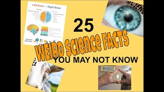 25 WEIRD Science Fact You May Not Know [upl. by Beckett]