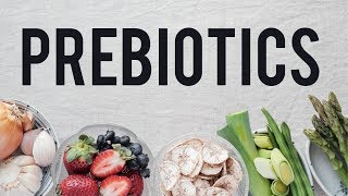 Prebiotics  Food for your Microbiome [upl. by Wenona]