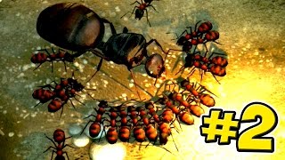 The Ant Queen  Empires Of The Undergrowth  Ep2 [upl. by Ihcur]