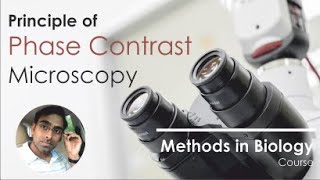 Phase contrast microscopy simplified [upl. by Ener]