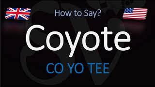 How to Pronounce Coyote  English American Pronunciation [upl. by Aliehc]