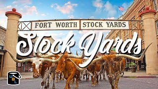 Fort Worth Stockyards  Cowboy Experience [upl. by Ronny131]