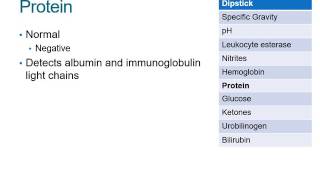 How to Read a Urinalysis Result [upl. by Quincey]