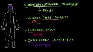 Neurodevelopmental disorders [upl. by Aikenat]