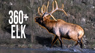 360 Inch Bull Hunting Colorado Elk Eastmans Hunting TV Elk Hunting [upl. by Consolata307]