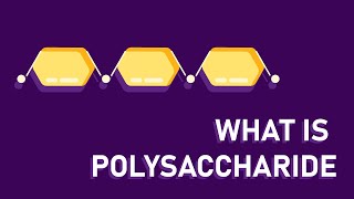 What are polysaccharides [upl. by Phillie]