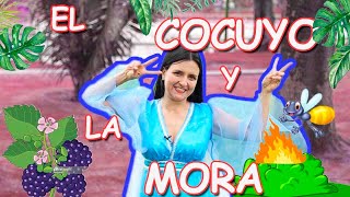 EL COCUYO Y LA MORAcuento infantil [upl. by Jannery]