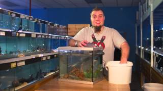 Fishkeeping Tips  How To Perform A Water Change On An Aquarium [upl. by Laurentium]