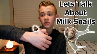 All About Milk Snails [upl. by Lhamaj100]