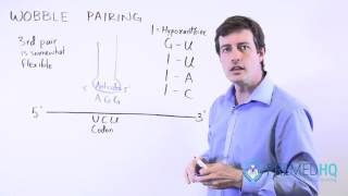 Wobble Pairing Study Tips [upl. by Thain]