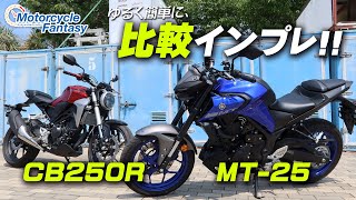 MT25とCB250Rを簡単に比較インプレッション！ Motorcycle Fantasy [upl. by Rotman468]