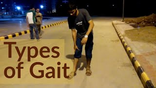 TYPES OF GAIT [upl. by Ynomrah]