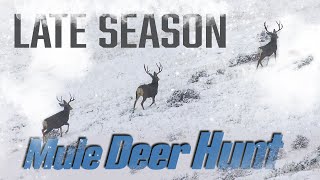 Hunting the Winter Range for Giant Mule Deer Eastmans Beyond the Grid [upl. by Eenwahs]