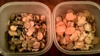 Dehydrated Potatoes Blanched vs non blanched [upl. by Rhona]