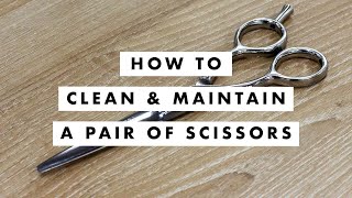 How To Clean amp Maintain A Pair Of Scissors [upl. by Fiertz]