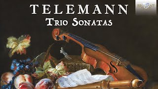 Telemann Trio Sonatas [upl. by Arndt711]