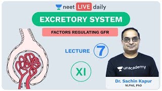 Excretory System  Lecture 7  Unacademy NEET  LIVE DAILY  NEET Biology  Dr Sachin Kapur [upl. by Arleta722]